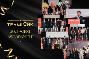 Celebrating Excellence at the TEAMLINK 2024 Agent Awards Night​